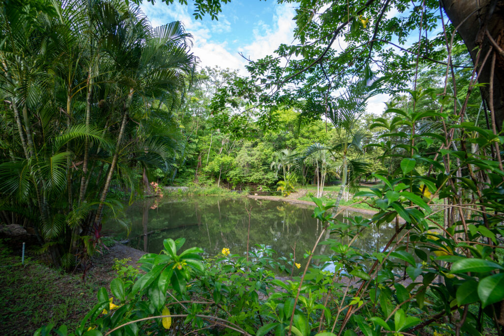 Sustainability in Costa Rica | Mar Vista